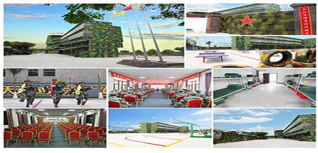 1613787432930019.jpg 15549540577616484 (2).jpg