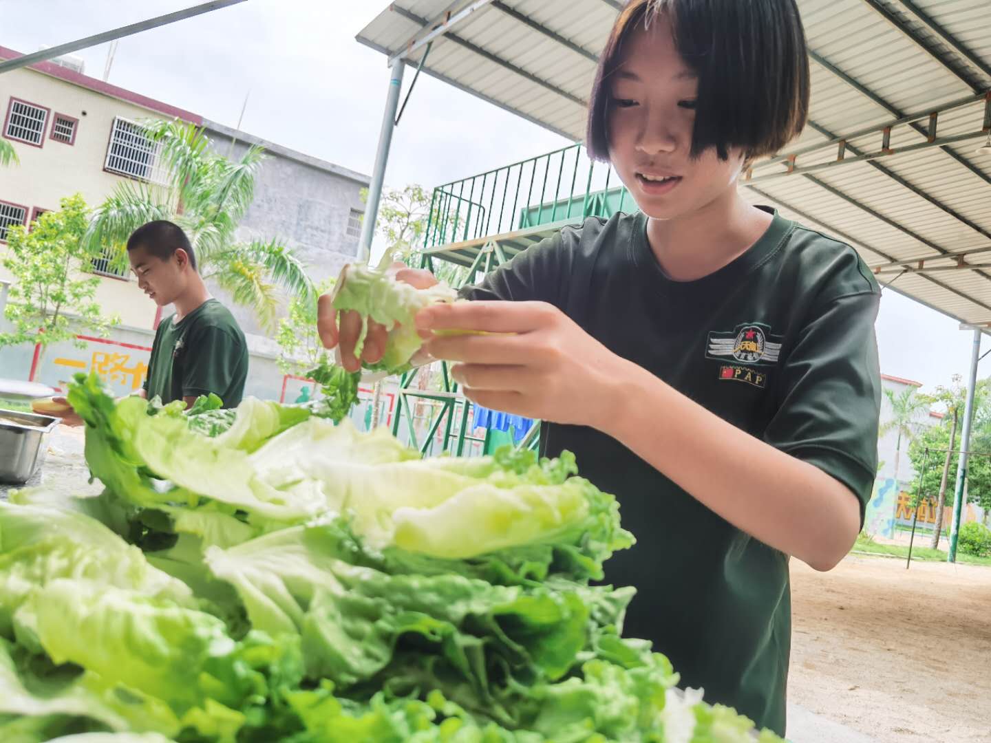 福建哪裏有青少年叛逆學校哪裏好(hǎo)